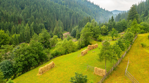 Authentic,Rural,Landscape,In,Romania,,In,Maramures,And,Bucovina,Area.