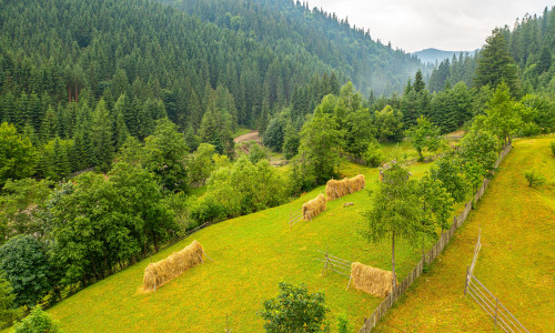 Authentic,Rural,Landscape,In,Romania,,In,Maramures,And,Bucovina,Area.