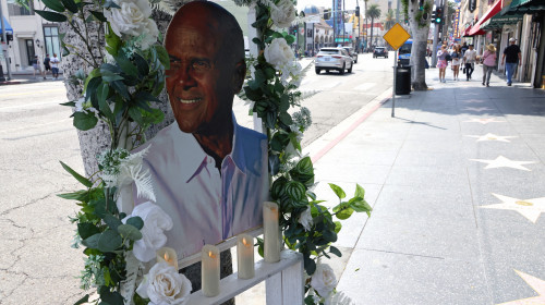 Harry Belafonte a murit/ Profimedia