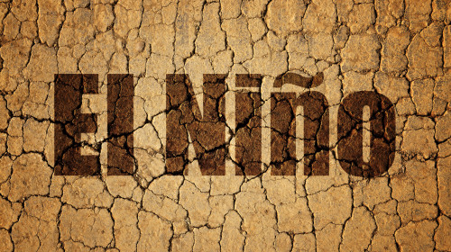 Dry,Cracked,Soil,With,El,Niã±o,Text.,Concept,Of,Change