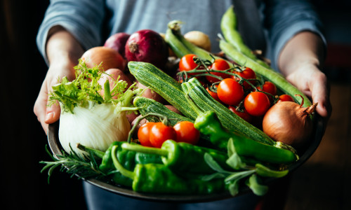 Hands,Holding,Big,Plate,With,Different,Fresh,Farm,Vegetables.,Autumn