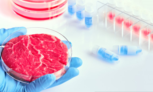 Producția de carne artificială nu oferă soluția pentru salvarea planetei/ Shutterstock
