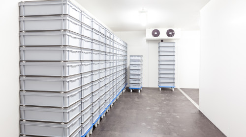 O directoare venită în inspecție a murit înghețată/ Shutterstock