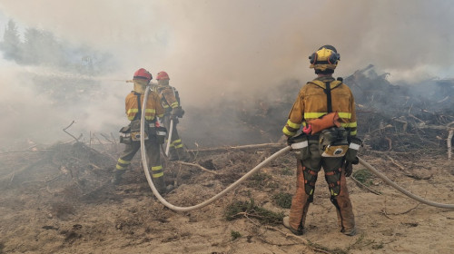 Incendiile de vegetație din Canada/ Profimedia