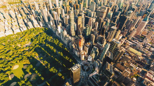 Ce soluție a găsit New York-ul pentru a curăța buruienile din parcuri/ Shutterstock