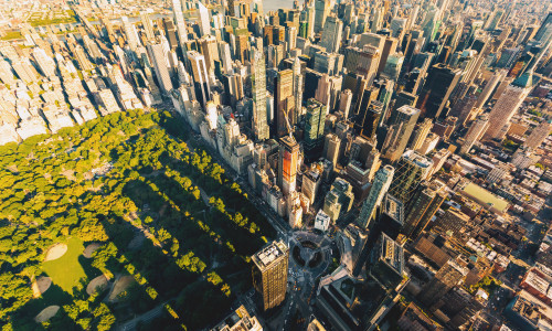 Ce soluție a găsit New York-ul pentru a curăța buruienile din parcuri/ Shutterstock