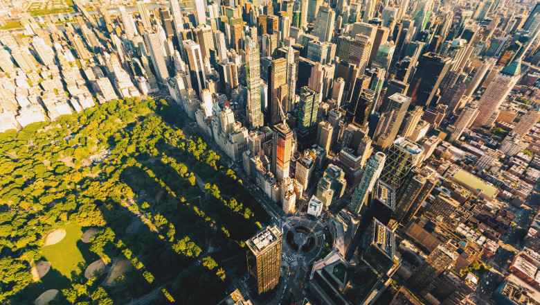 Ce soluție a găsit New York-ul pentru a curăța buruienile din parcuri/ Shutterstock
