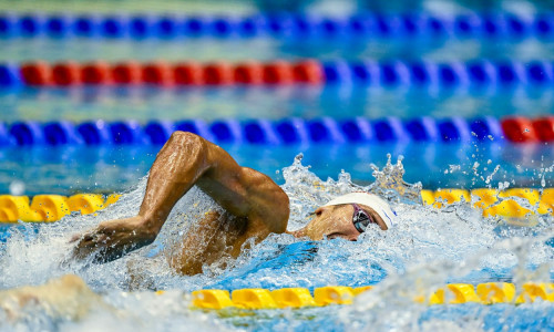 20th World Aquatics Championships Fukuoka 2023