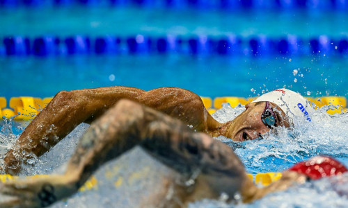 20th World Aquatics Championships Fukuoka 2023