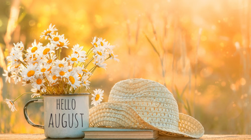 Hello,August.,Chamomile,Flowers,In,Cup,,Old,Book,,Braided,Hat