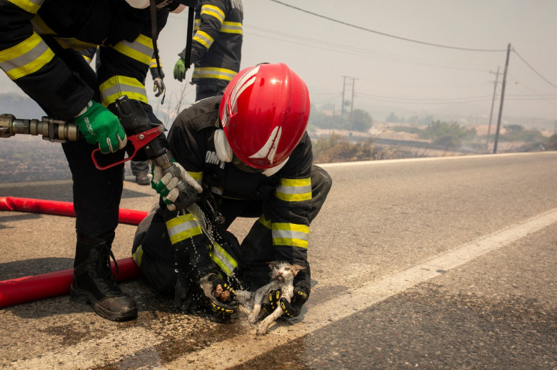 Forest fires in Greece - Rhodes