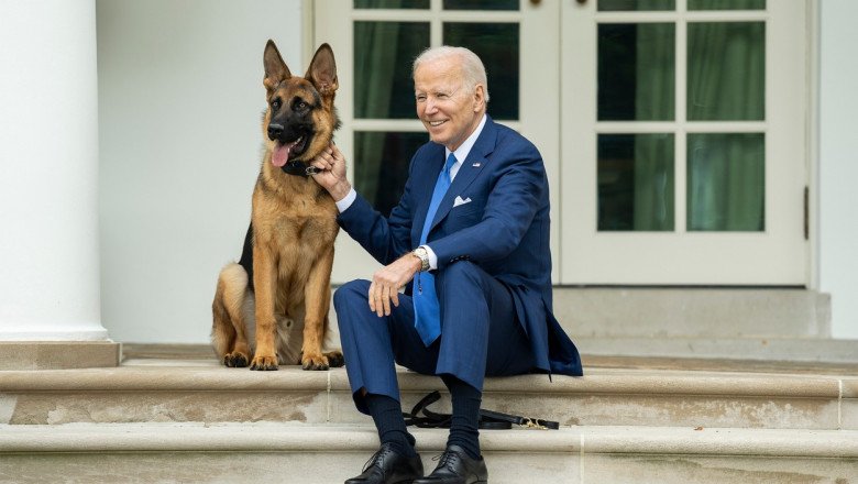 joe biden si cainele lui