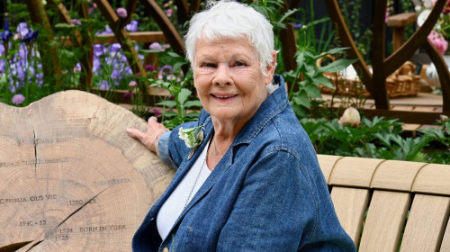 Judi Dench