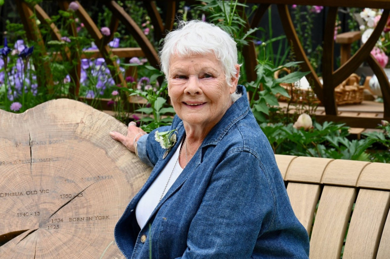 Judi Dench