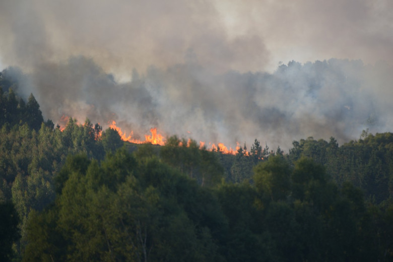 Incendii de vegetație în Spania