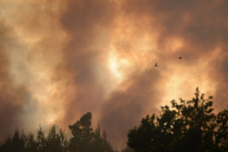 Incendii de vegetație în Spania