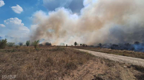 incendiu de vegetatie bucuresti