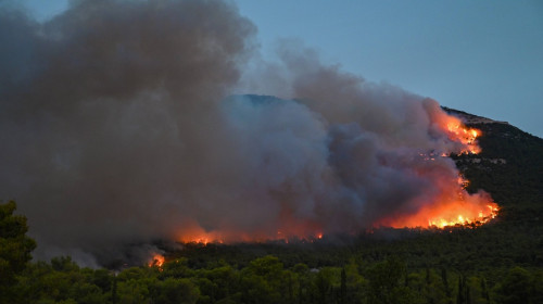 Wildfire continues to destroy forest in Parnitha near Athens A wildfire burns forest land in mount Parnitha near Athens.