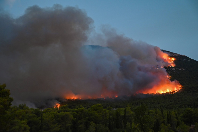 Wildfire continues to destroy forest in Parnitha near Athens A wildfire burns forest land in mount Parnitha near Athens.