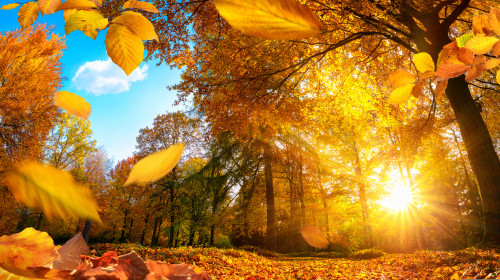 Vreme toamnă/ Shutterstock