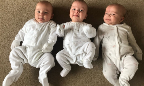 tripleti