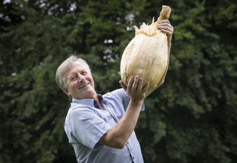 O ceapă uriaşă, de 9 kg, prezentată la o expoziţie din Anglia / Profimedia Images