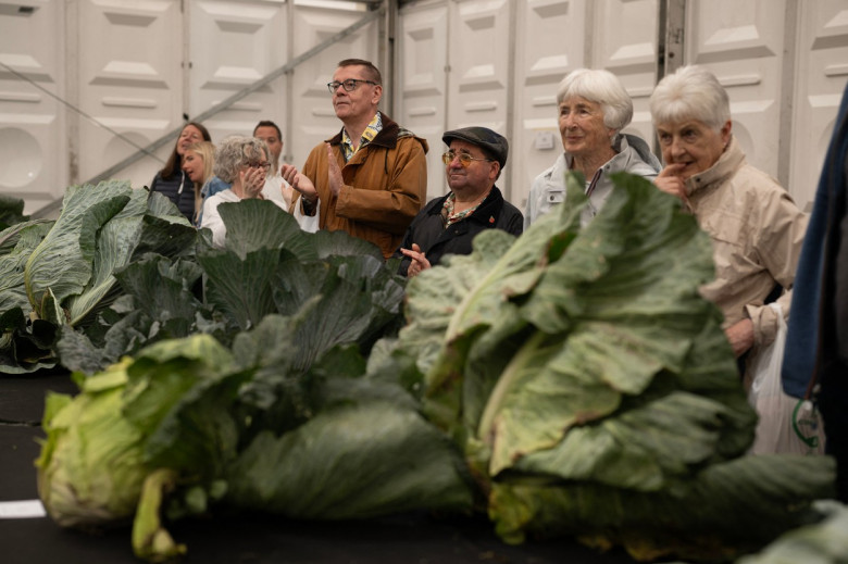 O ceapă uriaşă, de 9 kg, prezentată la o expoziţie din Anglia / Profimedia Images