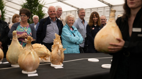 O ceapă uriaşă, de 9 kg, prezentată la o expoziţie din Anglia (3)