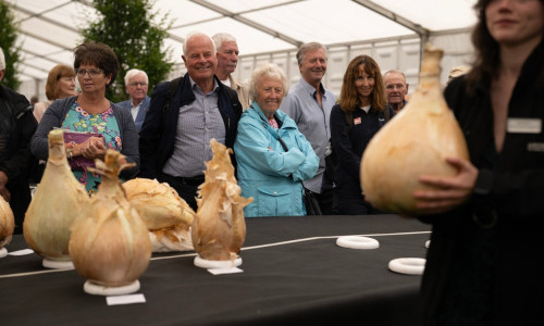 O ceapă uriaşă, de 9 kg, prezentată la o expoziţie din Anglia (3)