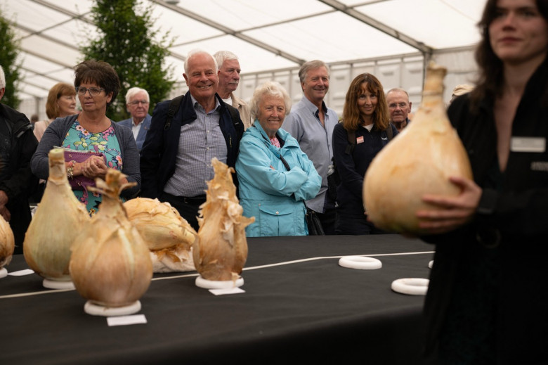 O ceapă uriaşă, de 9 kg, prezentată la o expoziţie din Anglia (3)