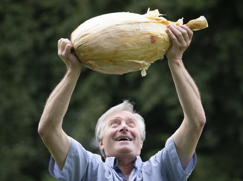 Harrogate Autumn Flower Show