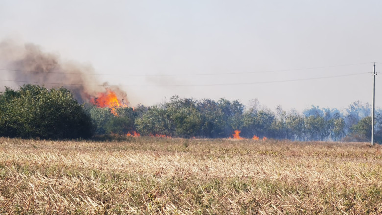 incendiu 7934dafe-22cf-469b-83ac-4a81573c46f3