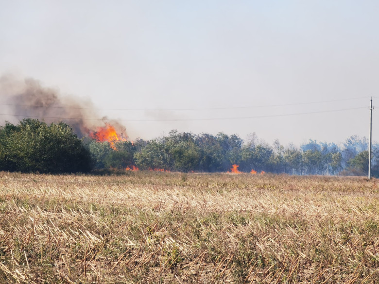incendiu 7934dafe-22cf-469b-83ac-4a81573c46f3