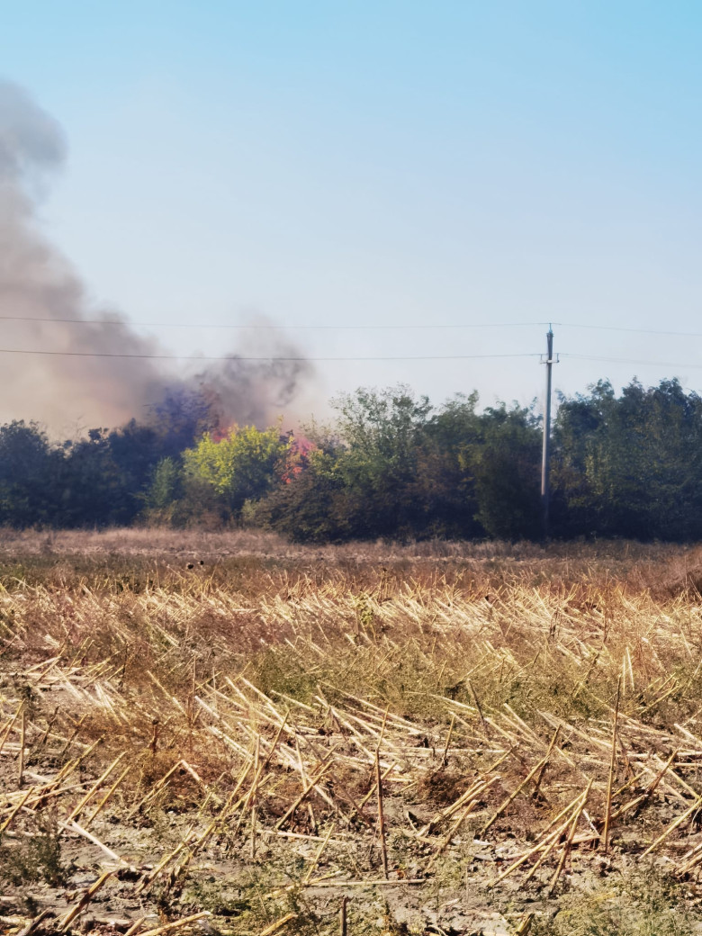 incendiu 634f5984-c767-4174-b407-1db759dca9cd