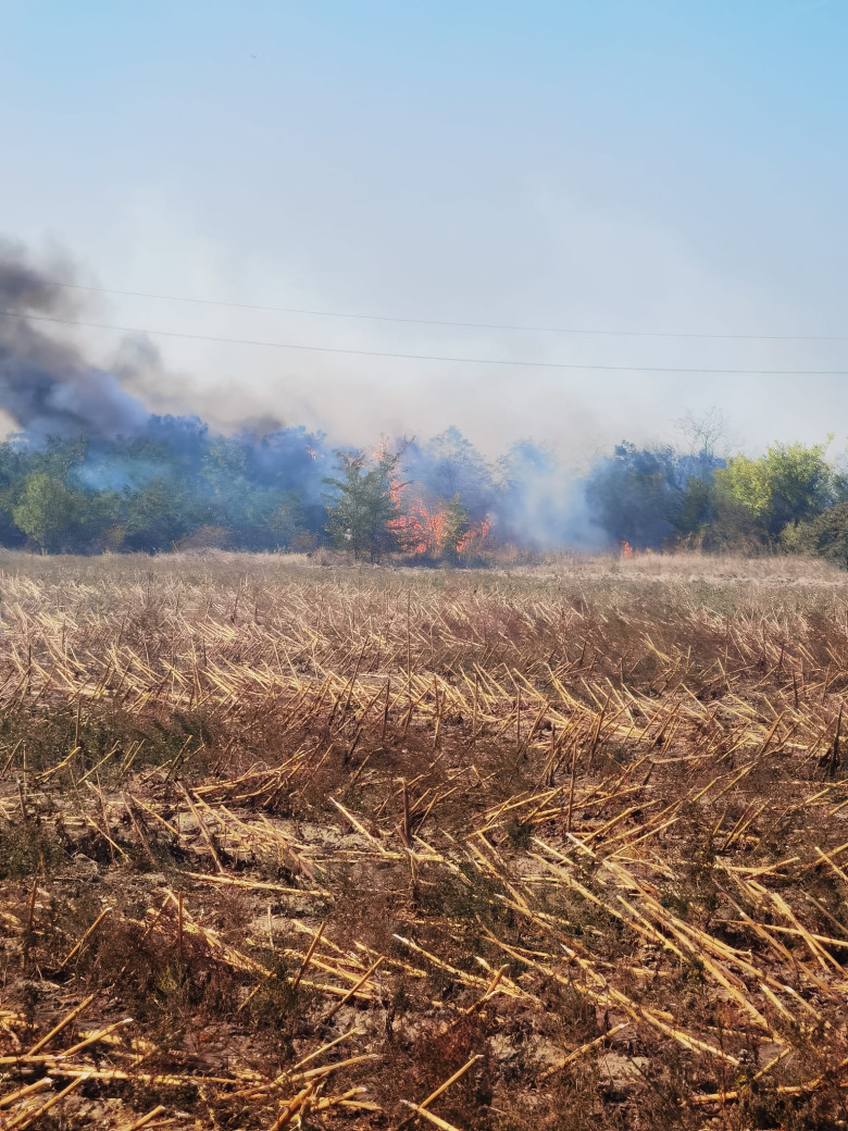 incendiu 83b2668f-2c2f-4282-b34c-90ebf76b137b