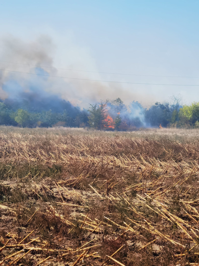 incendiu e30fce2c-0e81-4d77-b447-53e2b7e0f28e