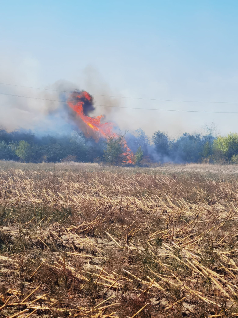 incendiu dfe9ce8e-1215-49b1-a81f-91e3e4599522