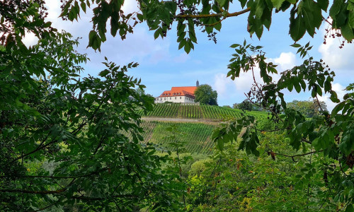 sat germania