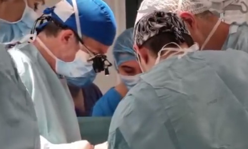 transplant inima