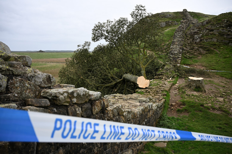 Sycamore Gap / Profimedia