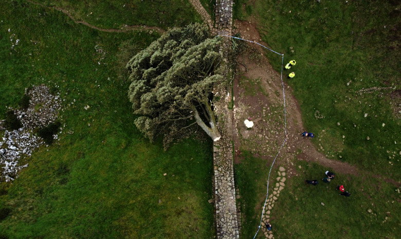 Sycamore Gap / Profimedia