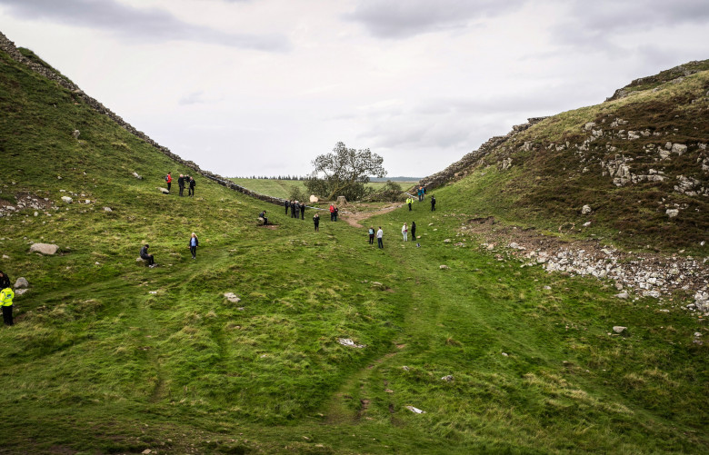 Sycamore Gap / Profimedia