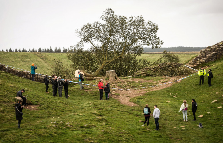 Sycamore Gap / Profimedia