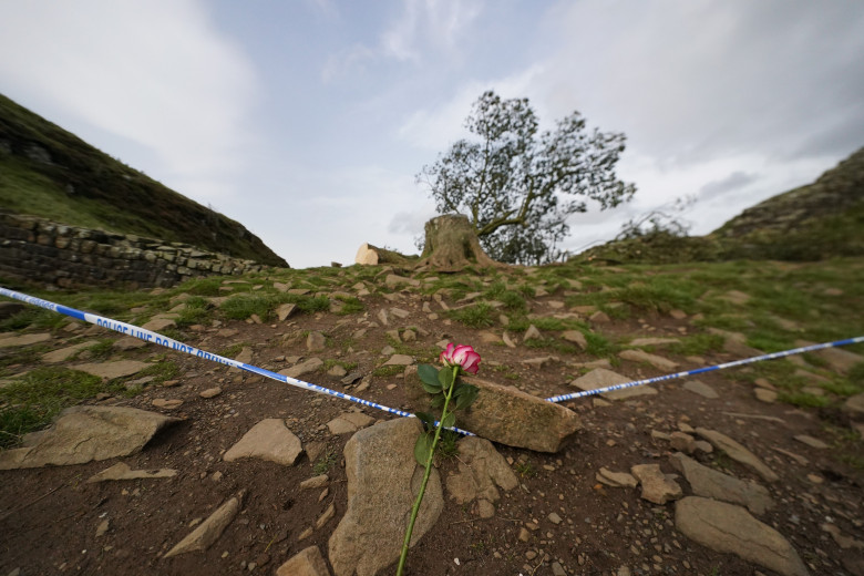 Sycamore Gap / Profimedia