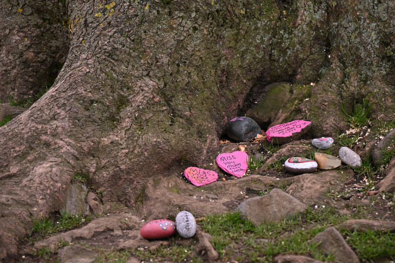 Sycamore Gap / Profimedia