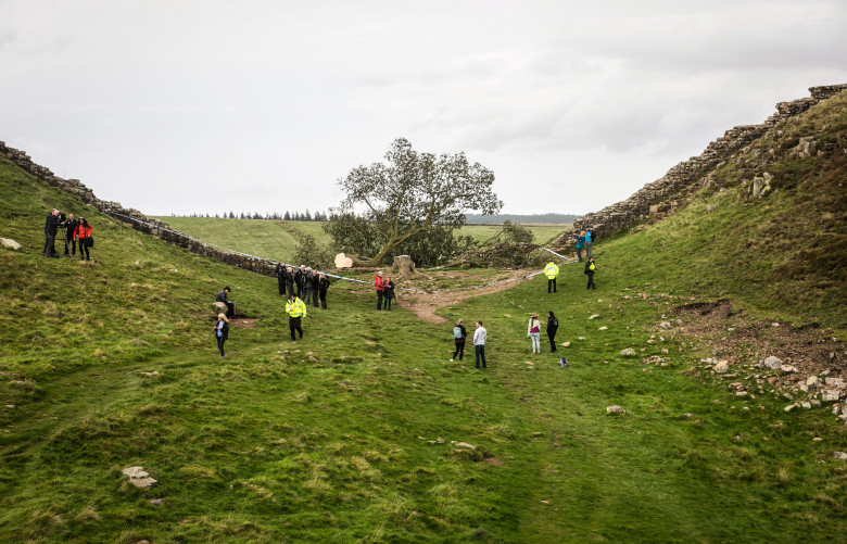 Sycamore Gap / Profimedia