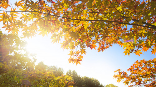 Prognoza meteo pentru prima săptămână din octombrie/ Shutterstock