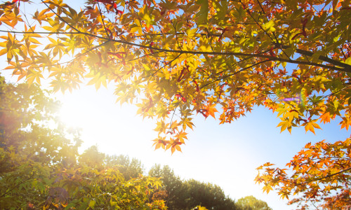 Prognoza meteo pentru prima săptămână din octombrie/ Shutterstock