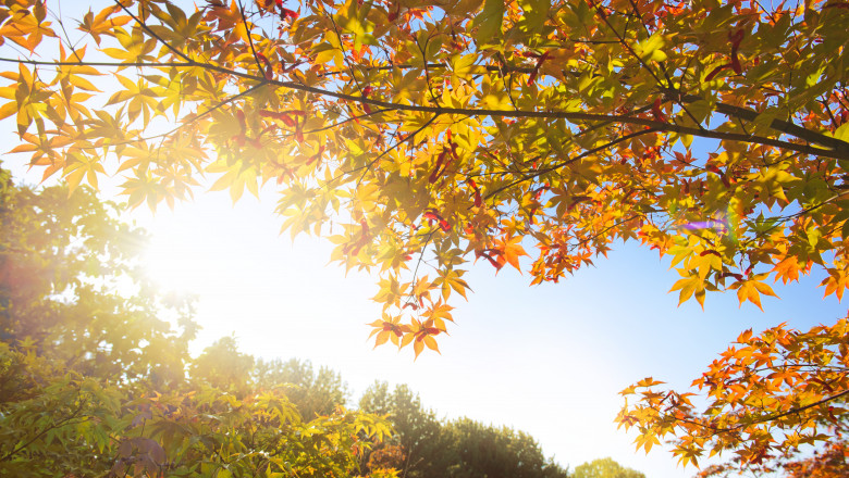 Prognoza meteo pentru prima săptămână din octombrie/ Shutterstock