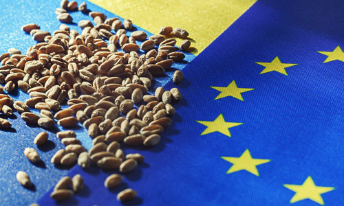 Grain,Deal,Between,Ukraine,And,The,Eu.,Export,Of,Grain.